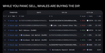 Ethereum Bitcoin’den daha sert düşerken balina 39 milyon dolarlık ETH topladı