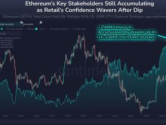 Ethereum balinaları ve köpekbalıkları 3,8 milyar dolarlık ETH topladı