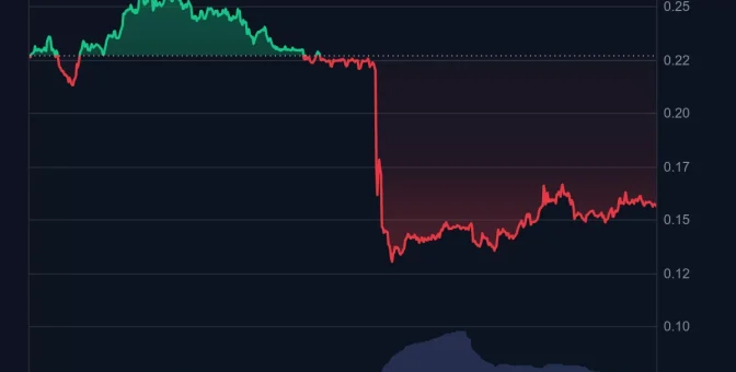 Fiyatı Çakılan Altcoinde Kurucu ve CEO Açıklama Yaptı!