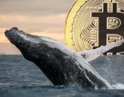 Gizemli Bitcoin Balinası Faaliyete Geçti: Neredeyse Her Gün İşlem Yapıyor!