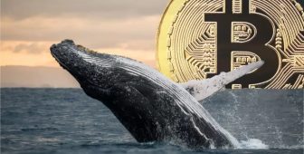 Gizemli Bitcoin Balinası Faaliyete Geçti: Neredeyse Her Gün İşlem Yapıyor!
