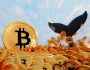 Gizemli Bitcoin Balinası Yeniden Harekete Geçti! Binlerce Bitcoin Farklı Bir Adrese Taşındı! Satış Mı Geliyor?