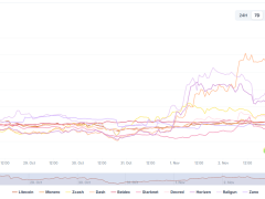 Gizlilik coin’lerinde yüzde 80’lik patlama
