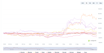 Gizlilik coin’lerinde yüzde 80’lik patlama