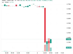 Güney Kore’den Bu Altcoin İçin Toplu Delist Kararı Geldi, Fiyat Çöktü! – İkinci Kez Delist Ediliyor!