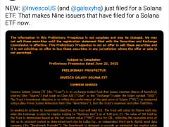 Invesco ve Galaxy ile birlikte 9 başvuru oldu