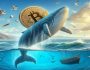 Korkusuz Dev Balina James Wynn Dayanamadı: Yeni Bitcoin (BTC) Pozisyonunu ve Beklentilerini Açıkladı!