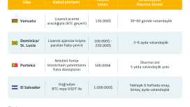 Kripto para ile vatandaşlık veya golden visa alınabilecek 4 ülke