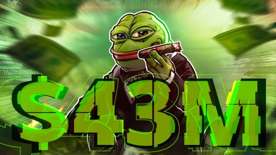 Kripto para yatırımcısı 2 bin dolarlık PEPE’yi 43 milyon dolara çevirdi