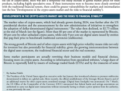 Kripto paraların büyümesi finansal istikrar için risk oluşturuyor iddiası