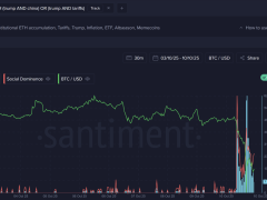 Kripto yatırımcıları düşüşün suçunu Trump’ın gümrük vergilerine yüklüyor