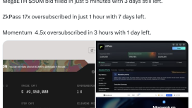 MetaETH, zkPass ve Momentum’a bireysel yatırımcıdan milyar dolarlık talep