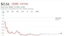 Nasdaq’ta listelenen firma BONK memecoin desteği nedeniyle yüzde 50 değer kaybetti