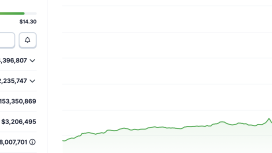 Numerai değeri 5 kat arttı