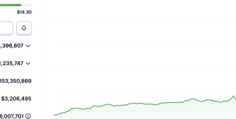 Numerai değeri 5 kat arttı