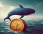 Onchain Verilerde Balina Hareketliliği Var: İşte Alıp Sattıkları Altcoinler!