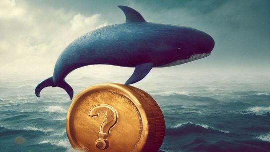 Onchain Verilerde Balina Hareketliliği Var: İşte Alıp Sattıkları Altcoinler!