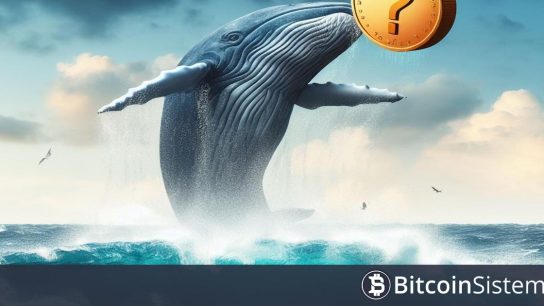 Onchain Verilerine Bir Zamanlar 240 Milyon Dolar Varlığa Sahip Olan Balina, Bu Altcoinden Satın Aldı!