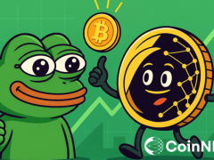 PEPE Coin Yükselme Nedeni Belli Oldu!