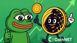 PEPE Coin Yükselme Nedeni Belli Oldu!