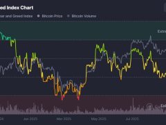 Panik satışları nedeniyle kripto piyasasından 230 milyar dolar silindi
