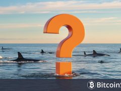 Piyasa Düşüşteyken Devasa Altcoin Balinaları Hareketlendi! İşte Son Yaptıkları İşlemler