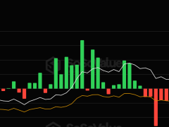Piyasadaki yıkıma rağmen Bitcoin ETF’lerine 2,71 milyar dolarlık giriş