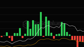 Piyasadaki yıkıma rağmen Bitcoin ETF’lerine 2,71 milyar dolarlık giriş