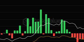 Piyasadaki yıkıma rağmen Bitcoin ETF’lerine 2,71 milyar dolarlık giriş
