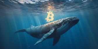 Piyasaya Küsen Efsanevi Balina James Wynn Dayanamadı, Geri Döndü! Bitcoin (BTC) ve Gözde Altcoininde İşlem Yaptı! İşte İlk Hamlesi!