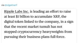Ripple 1 milyar dolarlık alımla kendi dijital hazinesini kuracak