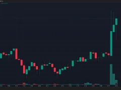 SICAK GELİŞME: Elon Musk’ın Son Hamlesi Hiç Beklenmedik Altcoinin Fiyatında Sıçramaya Neden Oldu!