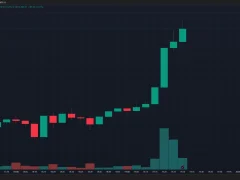 SON DAKİKA: Bitcoin (BTC) Yine Tüm Zamanların En Yüksek Fiyat Rekorunu Kırdı! İşte Nedeni ve Analistlerin Bundan Sonrası İçin Görüşleri