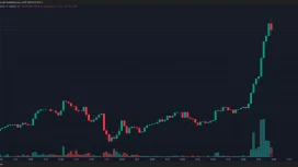 SON DAKİKA: Bitcoin Fiyatı Tüm Zamanların En Yüksek Fiyatı Rekorunu Kırdı! Büyük Boğa Uyandı!
