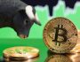 SON DAKİKA: Bitcoin’de Tüm Zamanların En Yüksek Fiyat Rekoru Kırıldı! Coşku Havası Hakim!