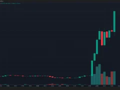 SON DAKİKA: Elon Musk, X (Twitter) Kullanıcı Adını Değiştirdi! Bu Altcoin Yüzde 119 Yükseldi