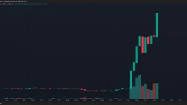 SON DAKİKA: Elon Musk, X (Twitter) Kullanıcı Adını Değiştirdi! Bu Altcoin Yüzde 119 Yükseldi
