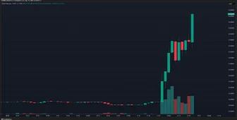 SON DAKİKA: Elon Musk, X (Twitter) Kullanıcı Adını Değiştirdi! Bu Altcoin Yüzde 119 Yükseldi