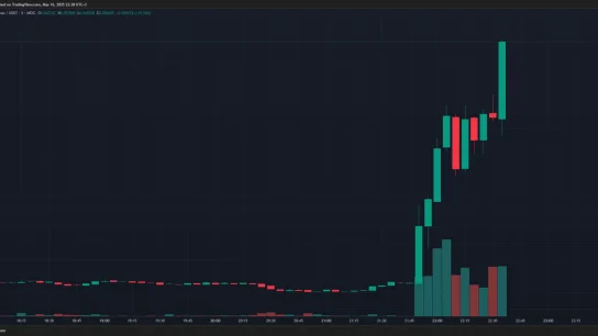 SON DAKİKA: Elon Musk, X (Twitter) Kullanıcı Adını Değiştirdi! Bu Altcoin Yüzde 119 Yükseldi