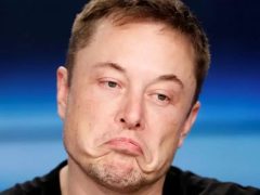 SON DAKİKA: Elon Musk Yine Piyasayı Etkiliyor! İki Memecoin ile İlgili Tweet’e Yanıt Verdi!