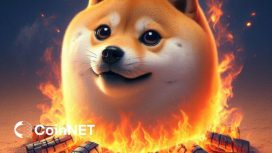 Shib Burn Nedir ve Neden Bu Kadar Önemlidir? –