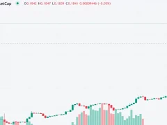 Sıcak Gelişme! Binance Vadelide İki Yeni Altcoin Listelediğini Açıkladı! Birinde Pump Birinde Dump Yaşandı!