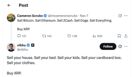 Solana Vakfı Yöneticisi, ETF Girişlerinin 545 Milyon Dolara Ulaşmasıyla Evinizi, Yatağınızı, Kıyafetlerinizi Satın ve XRP Satın Alın Diyor