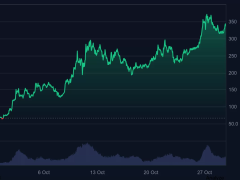 Son Günlerin En Çok Konuşulan Altcoininde Yükselişin Sebebi Bu!