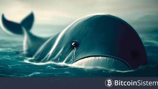 Talihsiz Yatırımcı FOMO’ya Kapıldı, Yanlış Üç Altcoin Tercih Etti! 16 Saatte 1 Milyon Dolardan 40 Bin Dolara Düştü!