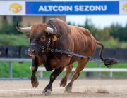 Analiz Şirketi CEO’su, Altcoin Sezonunun Başlangıç Tarihini Tahmin Etti!