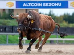 Altcoin Sezonu Kapıda Mı? Analiz Şirketi İki Metrikle Cevapladı!