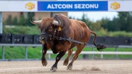 Analiz Şirketi CEO’su, Altcoin Sezonunun Başlangıç Tarihini Tahmin Etti!