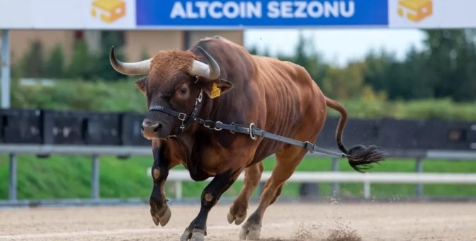 Analiz Şirketi CEO’su, Altcoin Sezonunun Başlangıç Tarihini Tahmin Etti!