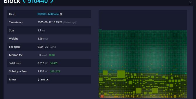 Tek başına blok kazıp 371.000 dolar kazandı
